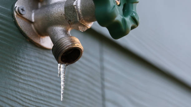 Best Emergency Plumbing Repair  in Timber Pines, FL